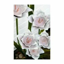 H100cm Narcissi Garden Flower Steel Water Feature with Lights | Indoor/Outdoor Use -Water Features Shop WF8495 add image 7 fd66